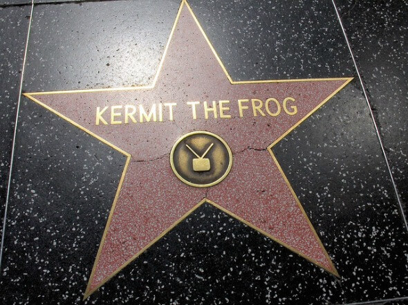 Hollywood Star - Kermit The Frog Hollywood Star - Kermit The Frog