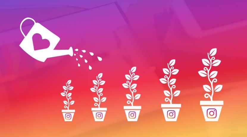 Improve Instagram Presence Improve Instagram Presence